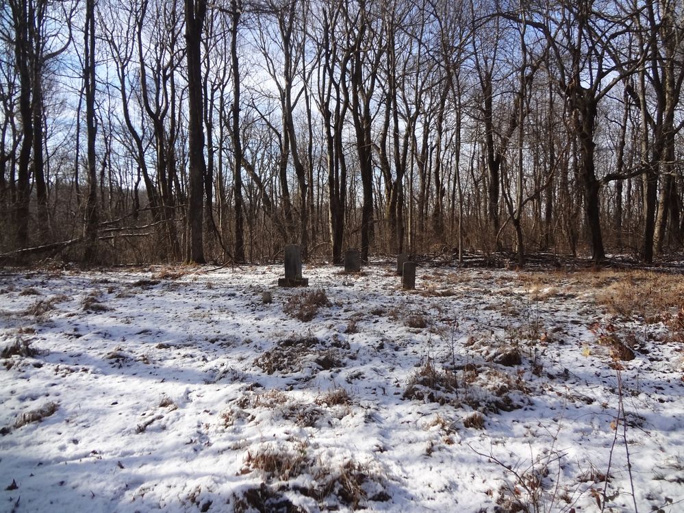 Old family cemetery in SNP
