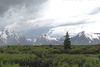 DSC04408.JPG