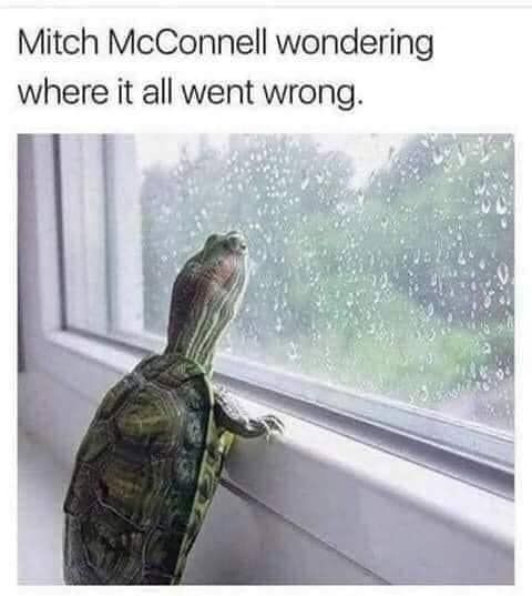 133610173_3541430802608246_2280340272385179091_n.jpg