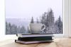 hot-winter-drink-books-near-window-view-snowy-forest-152877451.jpg