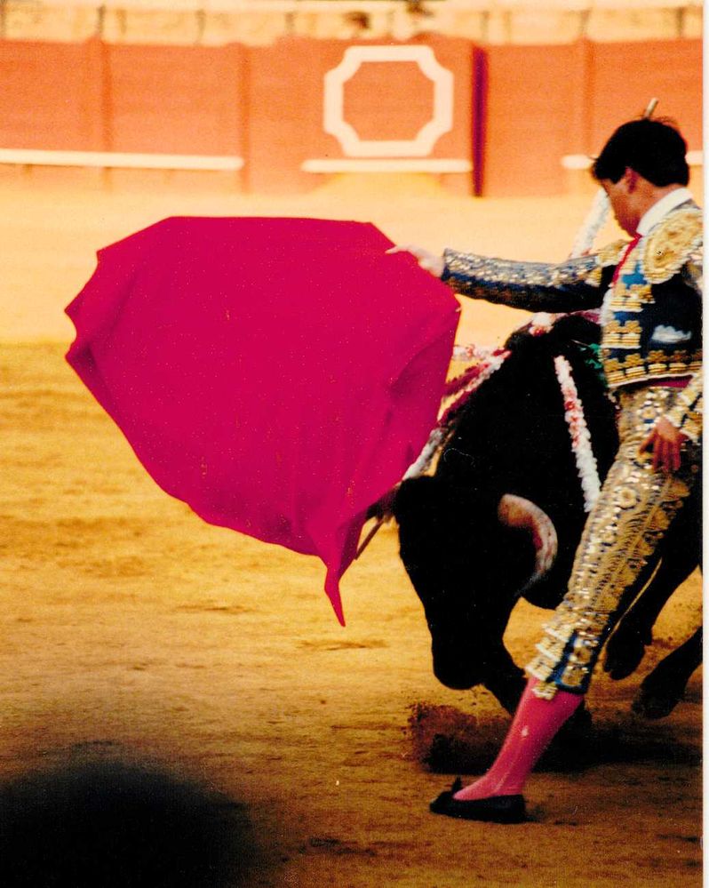 1985-09-08   28  Seville Bull Ring,  The first novice bull fighter, the Pass..jpg