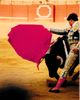 1985-09-08   28  Seville Bull Ring,  The first novice bull fighter, the Pass..jpg