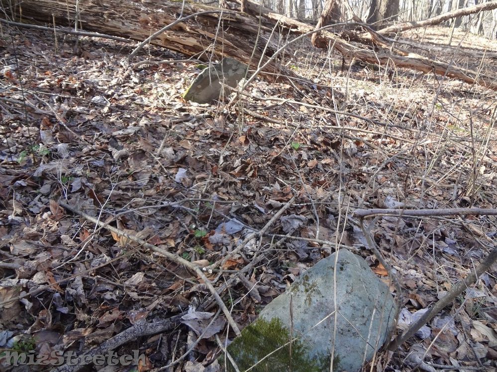 Many of the family cemeteries were marked with fieldstones -- a headstone and footstone.  They were often uninscribed since the burials were on family property and the family knew who they were.