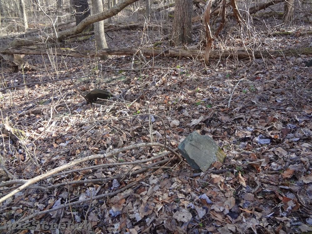 This cemetery with approximately nine native stones was accessed by following an overgrown road trace that was once converted into a trail, but long since abandoned.