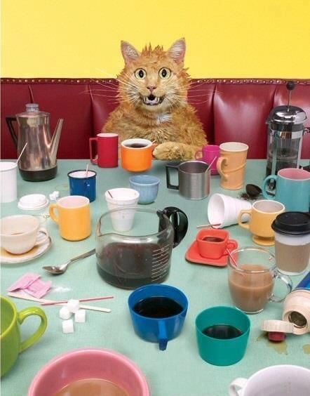 What? What? no such thing as too much coffee!