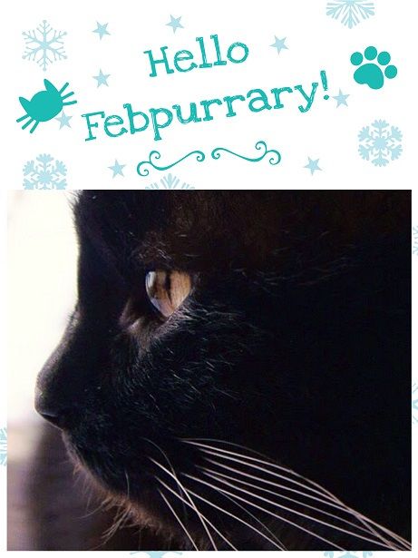"Febpurrary!" Love it!