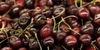 cherry-month-764x382.jpg