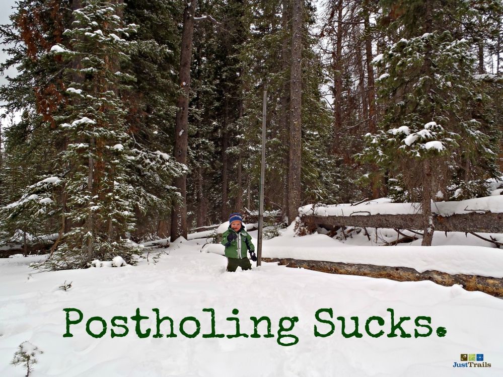 postholingsucks.jpg