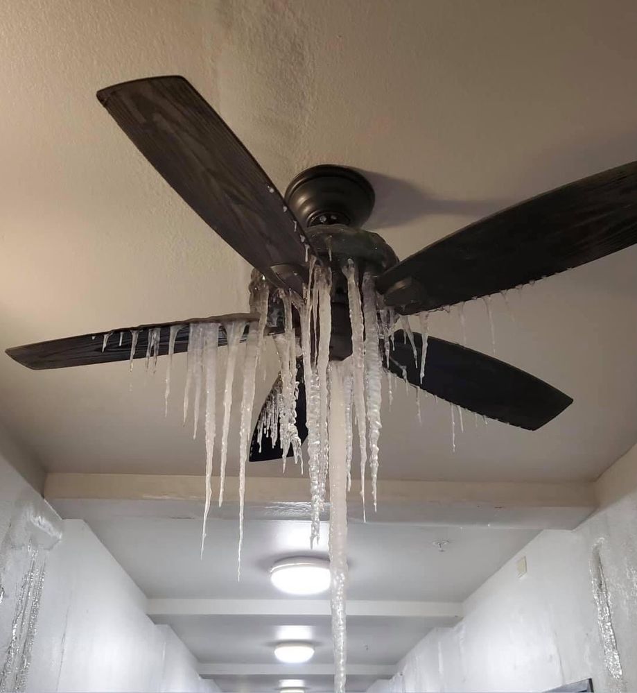 TEXAS ICE.jpg