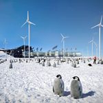 Penguins.jpg