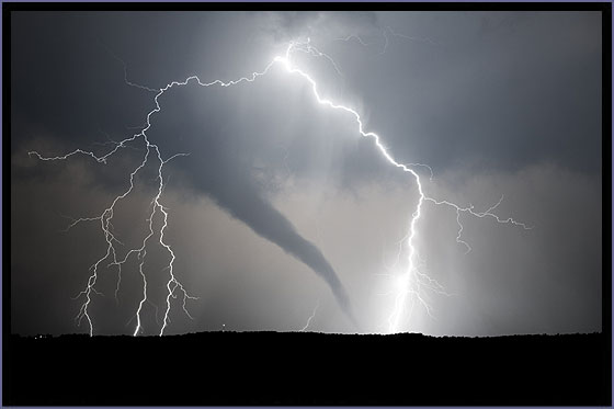 001 Etsy Nun Shotgun Banner.jpg