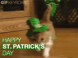 St Patrick cat.gif