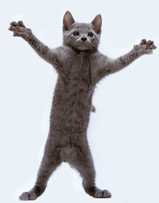 Happy Cat Vaccine Dance