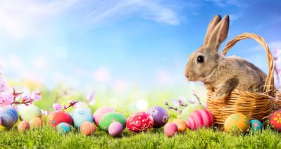 bunny and eggs.jpg