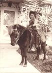 ' A guy with a pony came around my neighborhood selling pictures. I begged my mom to get one - 1983 '