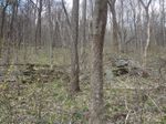 The foundation and collapsed chimney of an old log home on the side of a mountain.  It required a deep arduous climb up a overgrown, very faint road trace.  Even at a higher elevation, it is evident that surroundings are greening out and soon this will be impossible to find until winter again.