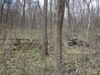 The foundation and collapsed chimney of an old log home on the side of a mountain.  It required a deep arduous climb up a overgrown, very faint road trace.  Even at a higher elevation, it is evident that surroundings are greening out and soon this will be impossible to find until winter again.