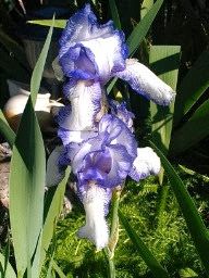 7_2_13_PHONE 007.jpg