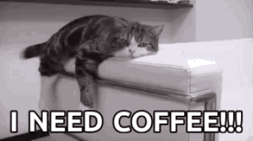 Cat needs coffee.gif
