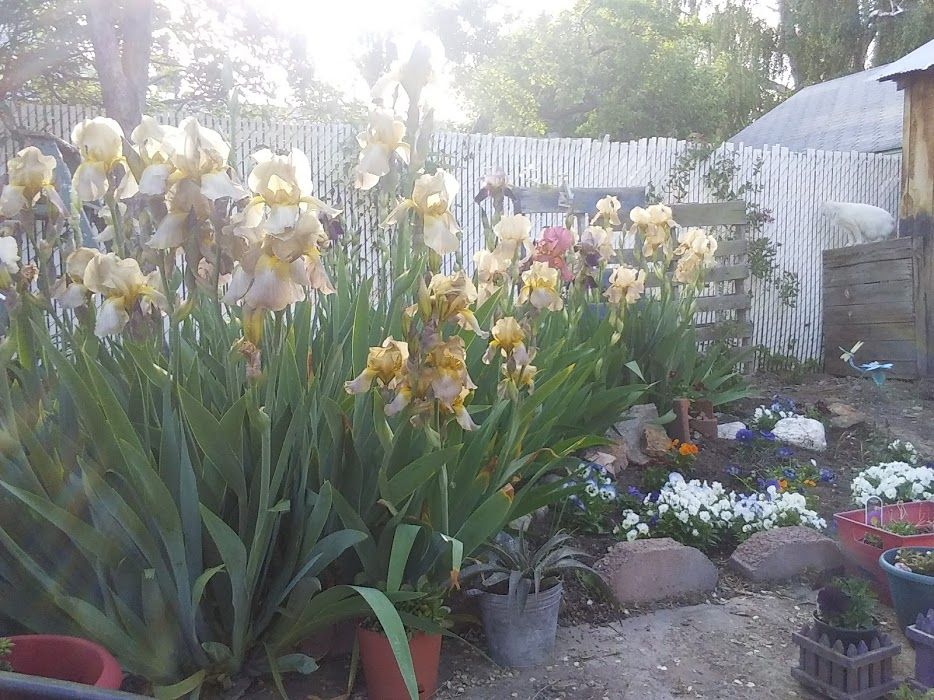 20210530_180712 (1).jpg