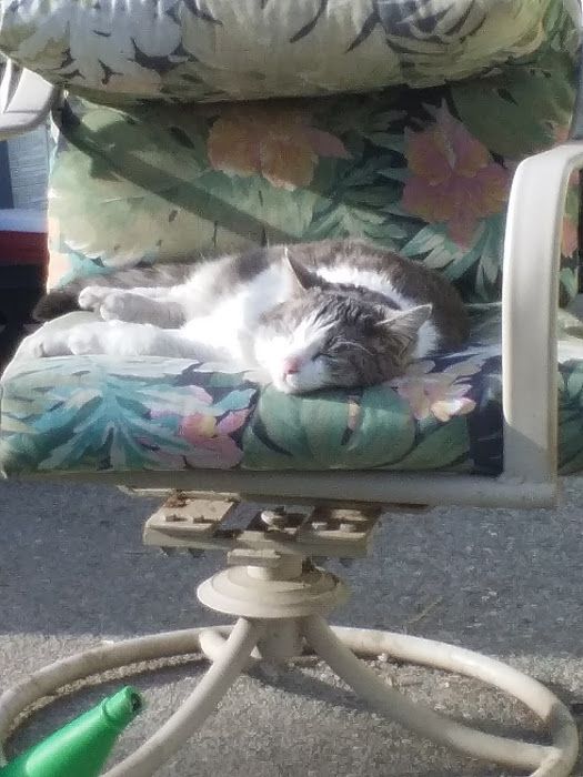 After a hard days work....