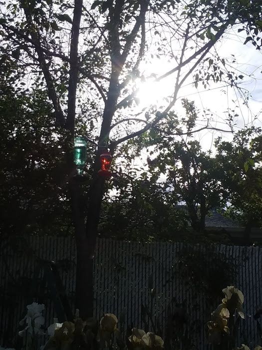 Hummingbird feeding area. sits above the patio for observation