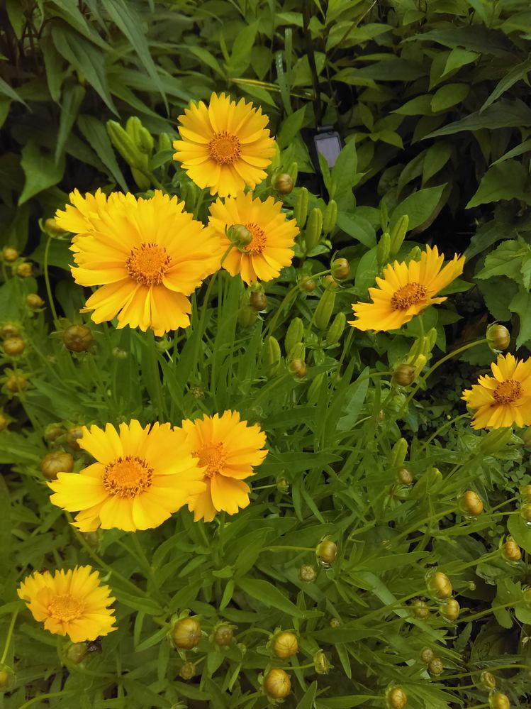 IMAG0973.jpg
