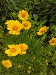 IMAG0973.jpg