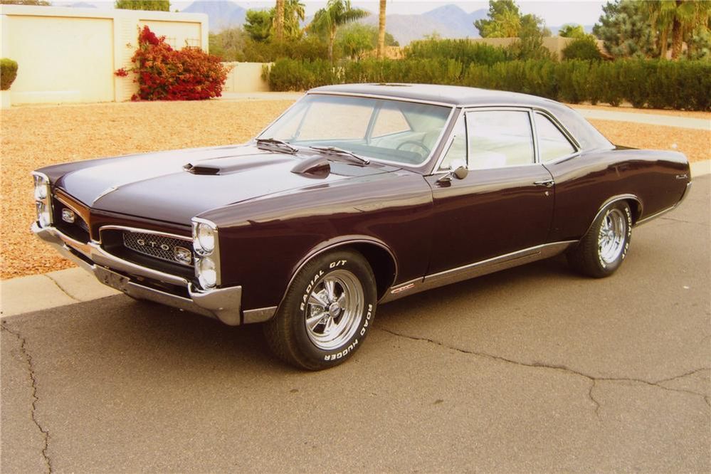 67 plum1.jpg