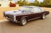 67 plum1.jpg