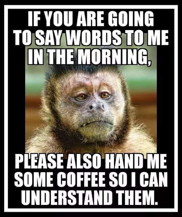 monkey words and coffee.jpg