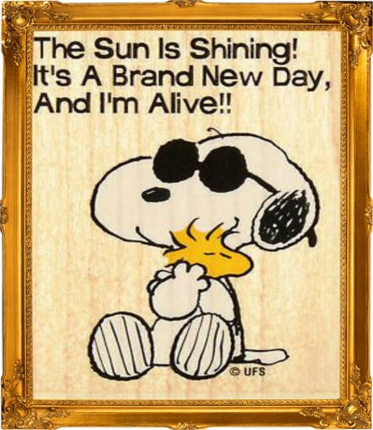Snoopy and sun.jpg