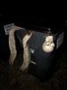The funeral.  Dora hung in there for a couple more years getting soggier, stinkier, and probably home to countless critters when it was time to say our final merciful good-byes. (2020)