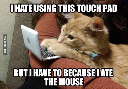 cat ate the mouse.jpg