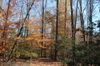 Still a dash of color late in the season