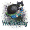 wednesday59.gif