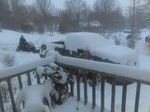 IMAG0880.jpg