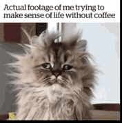 Life without coffee.gif