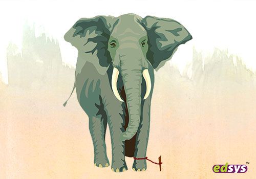 The-Elephant-Rope.jpg