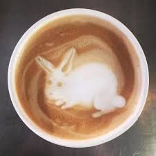 bunny in coffee.jpg
