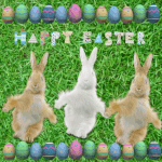 tang916-happy-easter.gif