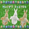 tang916-happy-easter.gif