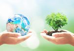 earth-tree.jpg
