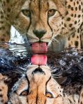 FB_IMG_1634560909302.jpg