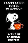 FB_IMG_1650730012910.jpg