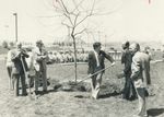 arbor-day-in-mississauga-mayor-martin-dobkin-plants-a-sunburst-loust-tree-in-front-of-city-hall-yes.jpg