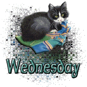 wednesday59 (1).gif