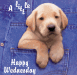 wednesday21.gif