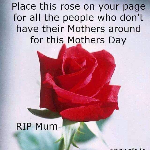 FB_IMG_1651801633003.jpg