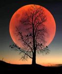FB_IMG_1652053831798.jpg